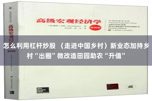 怎么利用杠杆炒股 （走进中国乡村）新业态加持乡村“出圈”微改造田园助农“升值”