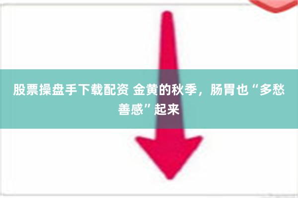 股票操盘手下载配资 金黄的秋季，肠胃也“多愁善感”起来