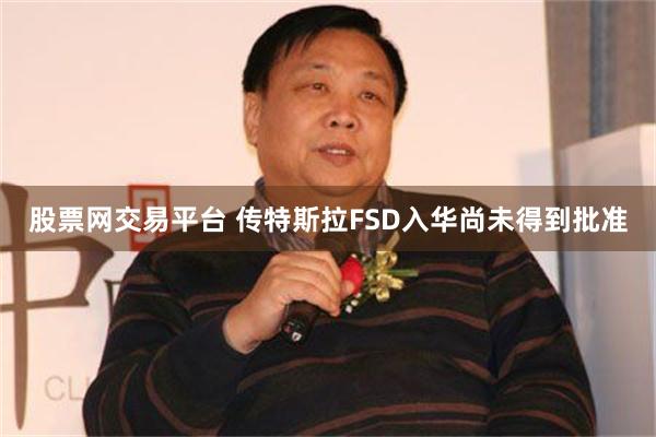 股票网交易平台 传特斯拉FSD入华尚未得到批准