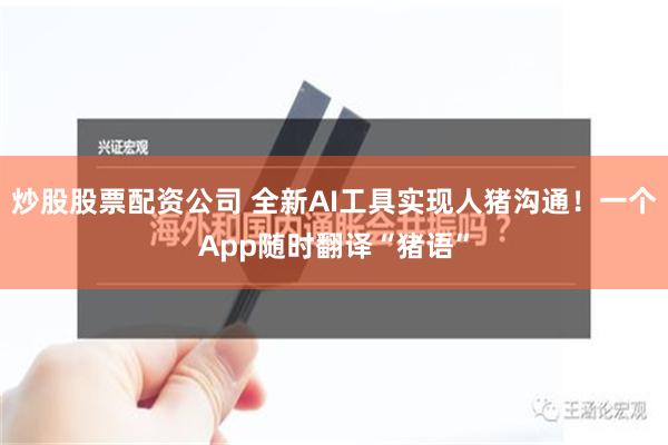 炒股股票配资公司 全新AI工具实现人猪沟通！一个App随时翻译“猪语”