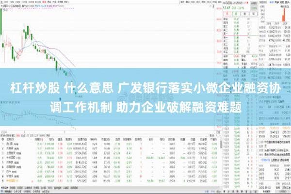 杠杆炒股 什么意思 广发银行落实小微企业融资协调工作机制 助力企业破解融资难题