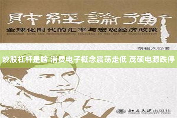 炒股杠杆是啥 消费电子概念震荡走低 茂硕电源跌停