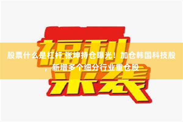 股票什么是杠杆 张坤持仓曝光！加仓韩国科技股，新增多个细分行业重仓股